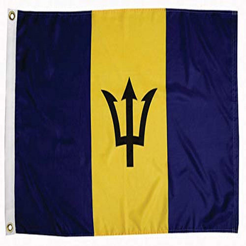 Barbados Flag Taylor Made 24" x 36"