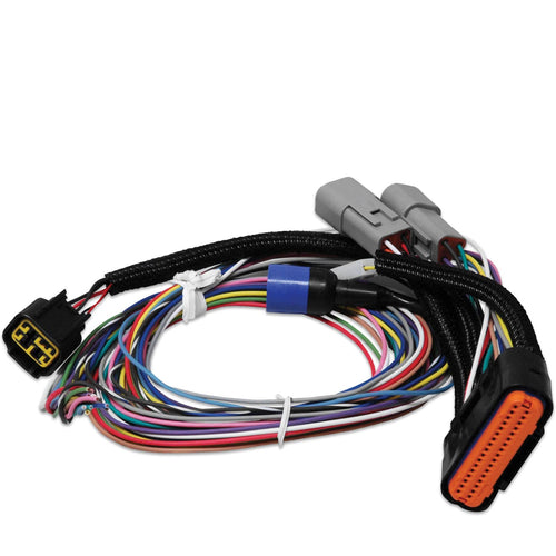 Power Grid Harness MSD 7780 - Replacement