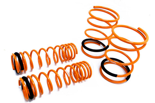 Coilover Lowering Spring Megan Racing MR-LS-NS13