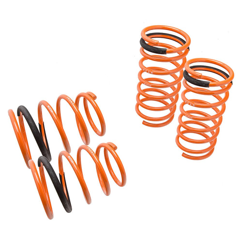 Coilover Lowering Spring Megan Racing MR-LS-FZ97