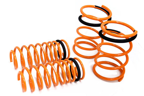 Coilover Lowering Spring Megan Racing MR-LS-ME06
