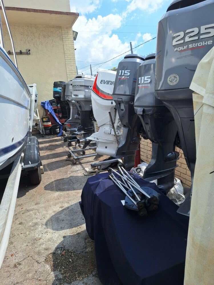 1/2" Barb Swivel Nut SHURFLO Strainer