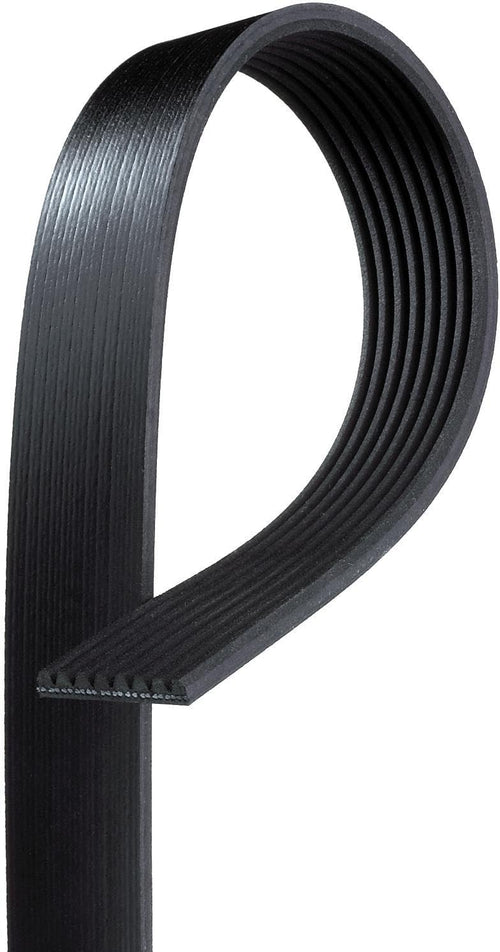 Gates Premium Automotive V-Ribbed Belt