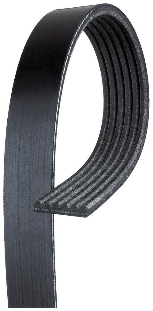 K060503 Gates Premium V-Ribbed Belt