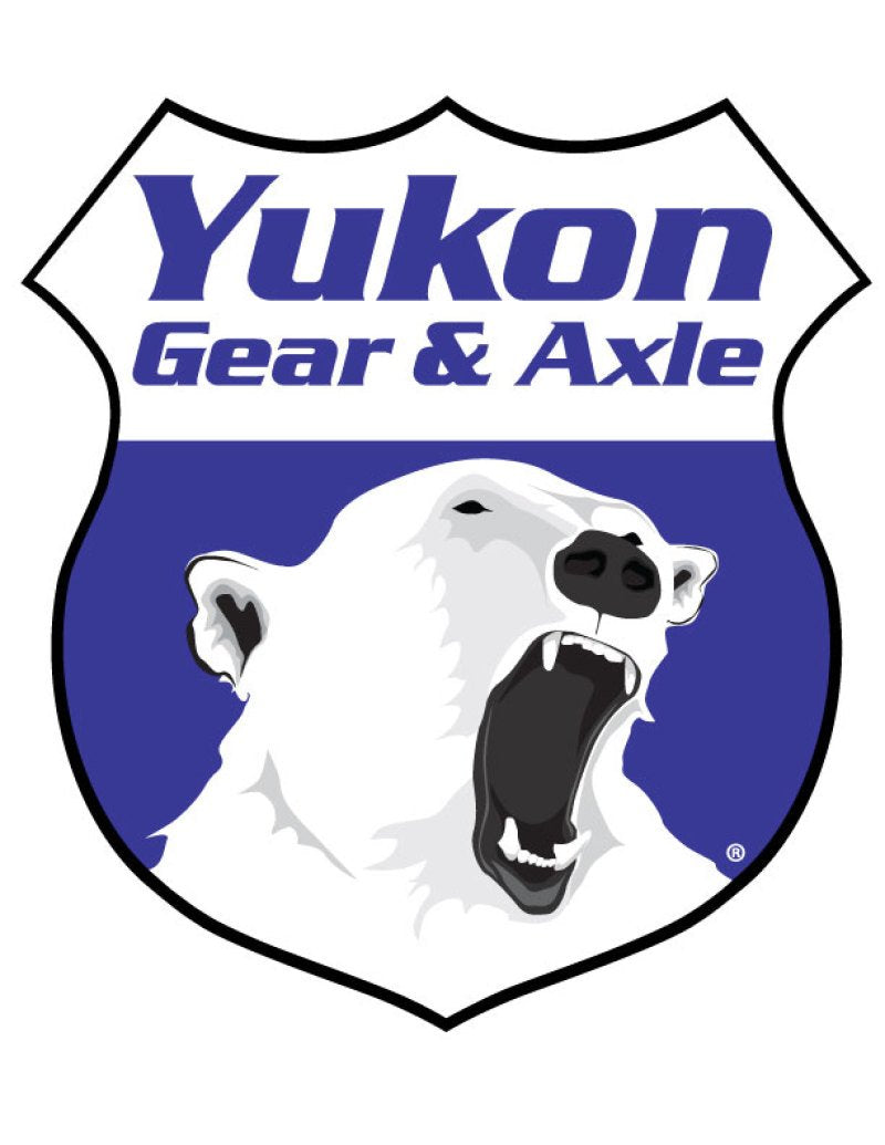 Master Overhaul Kit Yukon Gear & Axle (YK M20) for AMC Model 20 Differential