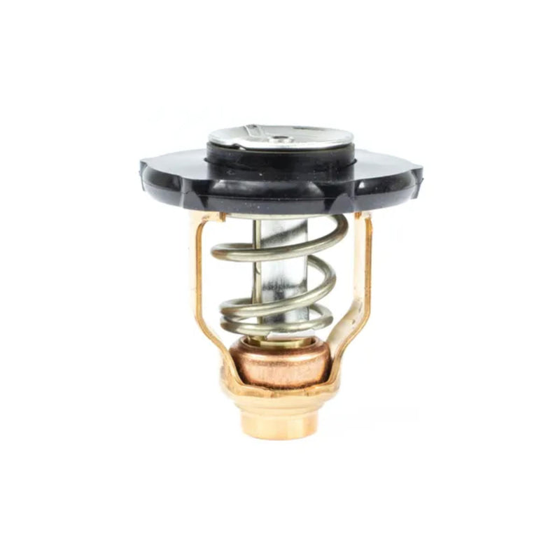18-3641 Sierra International Thermostat