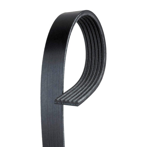 V-Ribbed Automotive Belt (Standard)