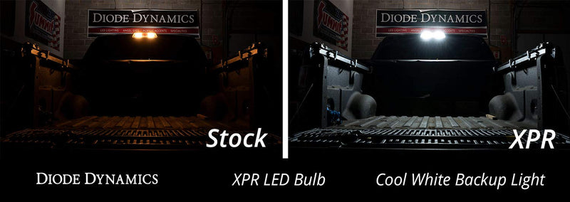921 XPR Diode Dynamics Cool White Backup LED Bulbs
