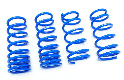 Coilover Lowering Spring Megan Racing MR-LS-LG06