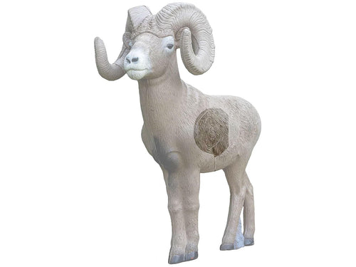 1/2 Scale Bighorn Ram Rinehart Replacement Insert | Replacement Vital Core for Bighorn Sheep 3D Targets | Broadhead Compatible | Self-Healing Foam | Made in USA