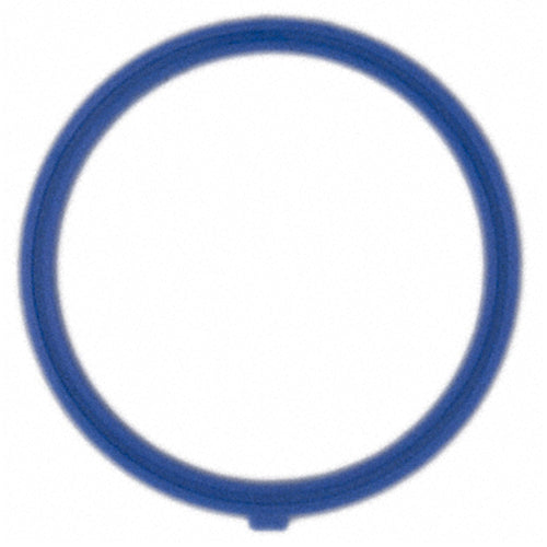Thermostat FEL-PRO Gasket 35796
