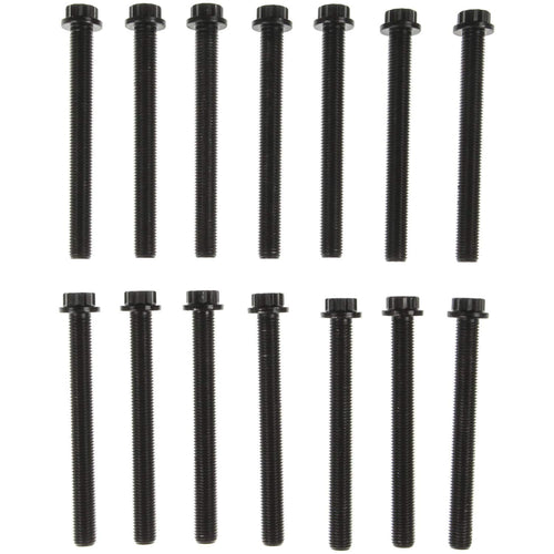 GS33648 Mahle Cylinder Head Bolts