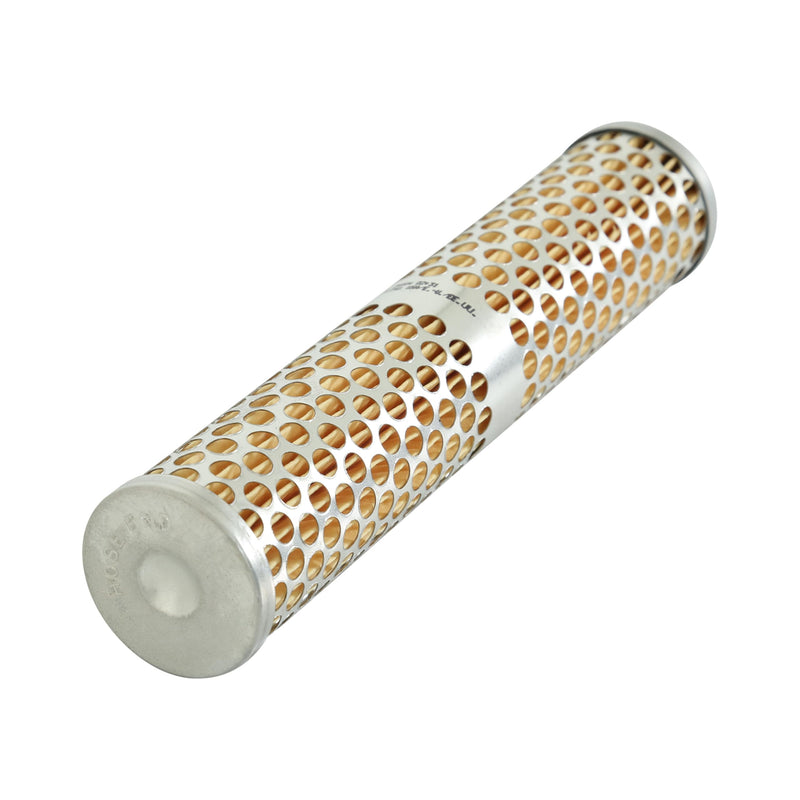 Fuel Filter Element AEM Race (25-202)
