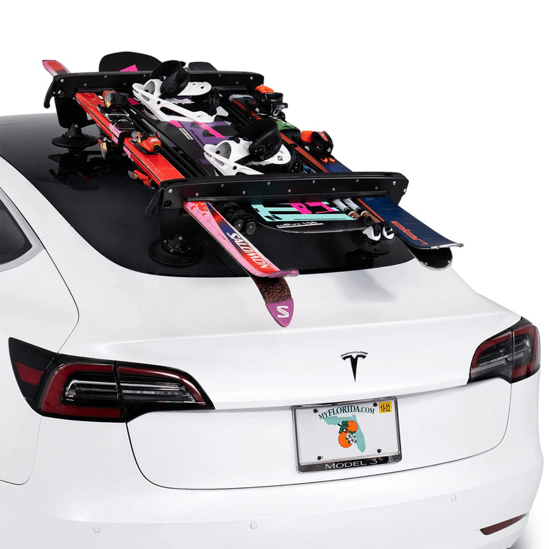 SKI PALLAVICINI Rack