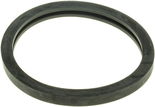 Engine Coolant Thermostat Seal Gates 33616
