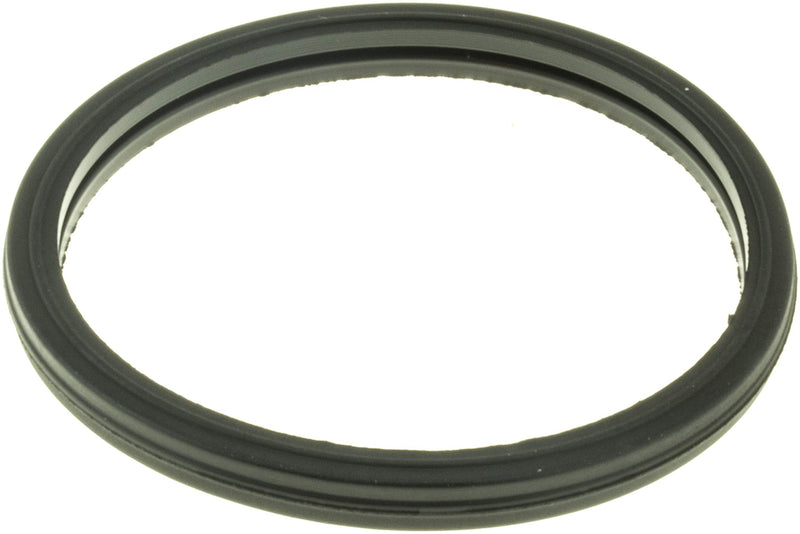 Engine Coolant Thermostat Seal Gates 33661