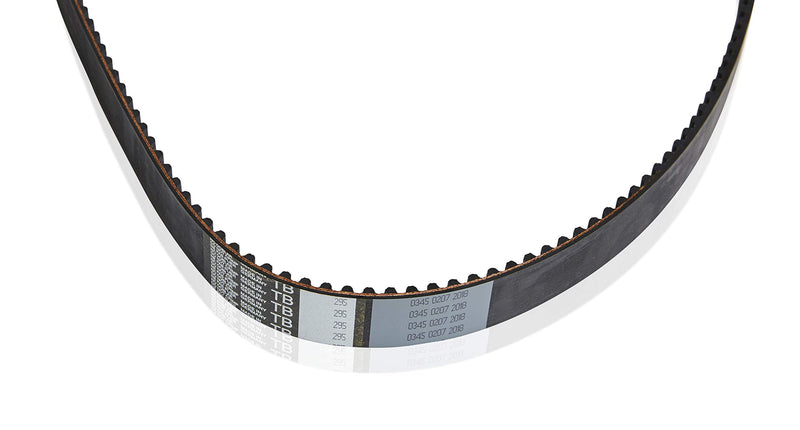 B295 Cloyes Engine Timing Belt