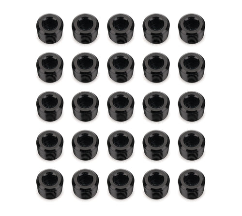 14 NPT SOCKET HEAD PIPE PLUG - BLACK - 25PCS -04
