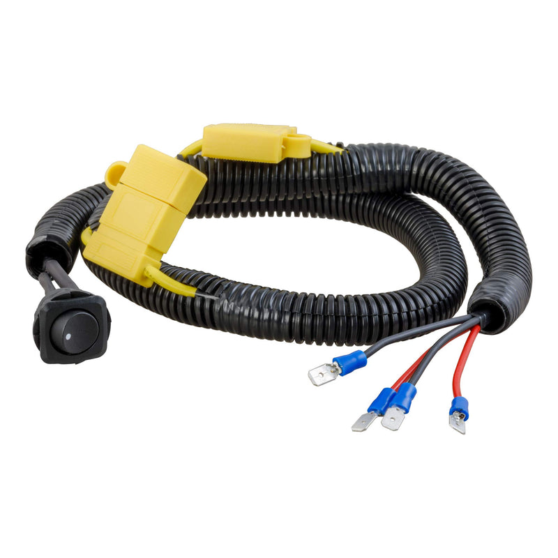 CURT Two-Fuse Bypass Switch 58475 for RV Dinghy Towing