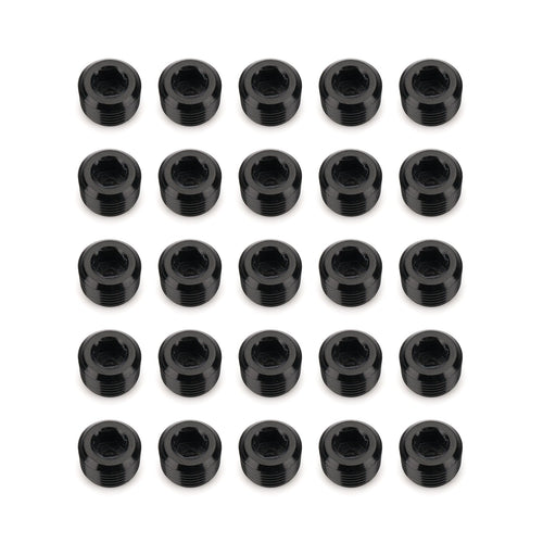 932 Series RHP 932-02-25-2 NPT Socket Head Pipe Plug Kit