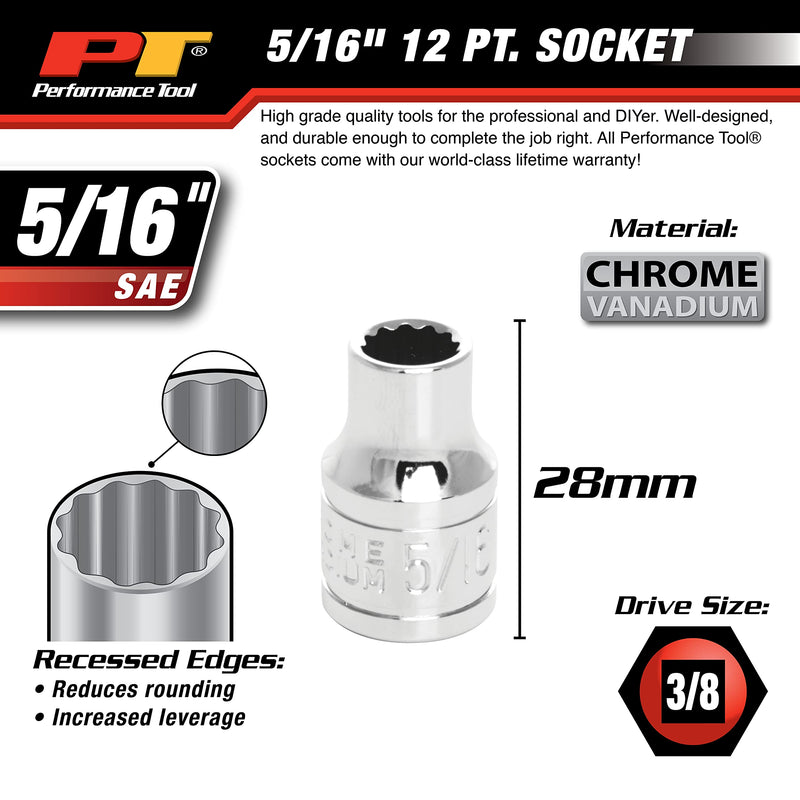 W38510 Performance Tool 12-Point Socket, 3/8-Inch Drive, 5/16