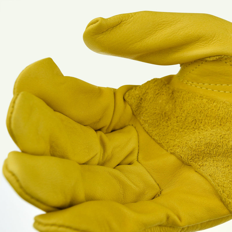 DEWALT Premium DPG32 AB Grade Leather Driver Work Glove - Large