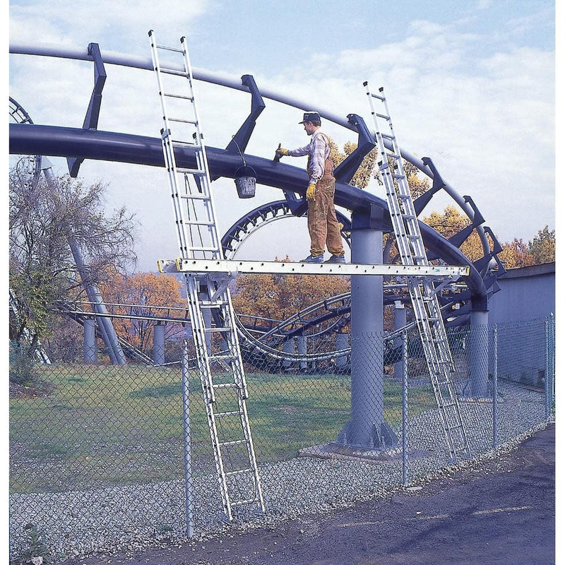 24-Foot Werner D1524-2 Ladder