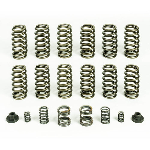 12 HD Valve Springs Spring For 94-98 Ram 2500/3500 W/ P7100 Injection Pump
