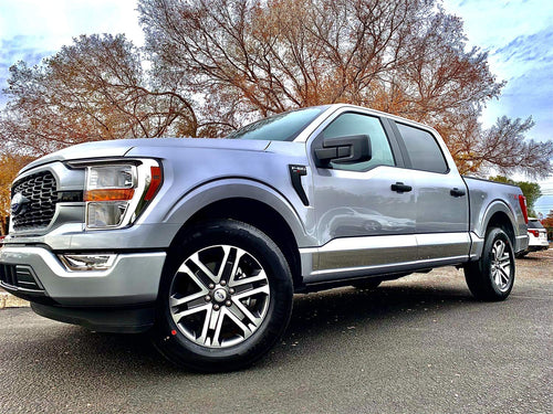 ICI T4105-304M Rocker Panel Trim Stainless Steel Fits 2004-2014 Ford F150 Ext Cab 6'5" Bed 4 Door Without Body Side Molding - 6.5in Wide - 10 Pcs - Fits Body Line Down