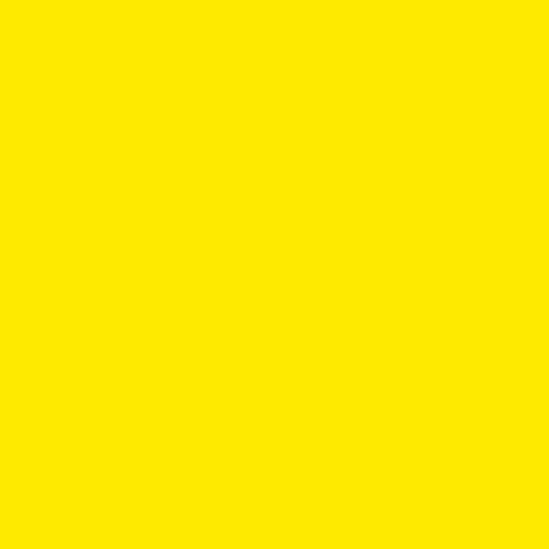 Perfect Match Dupli-Color EBTY15177 Automotive Spray Paint – Toyota Yellow, 541 – 8 oz. Aerosol Can