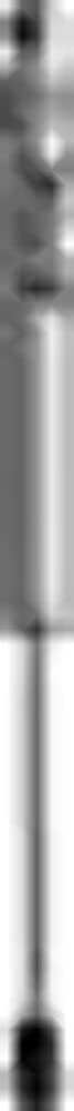 Eyelet End Fox 985-24-054