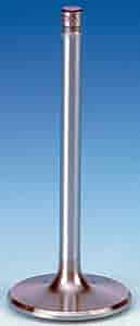 Intake Valves Milodon 1.94" Diameter For Ford Small Block 302-351W