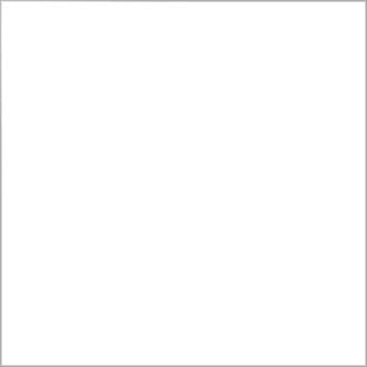 Multi-Purpose Dupli-Color Acrylic Enamel Spray Paint - Gloss White OSHA White - 12 oz. Aerosol Can