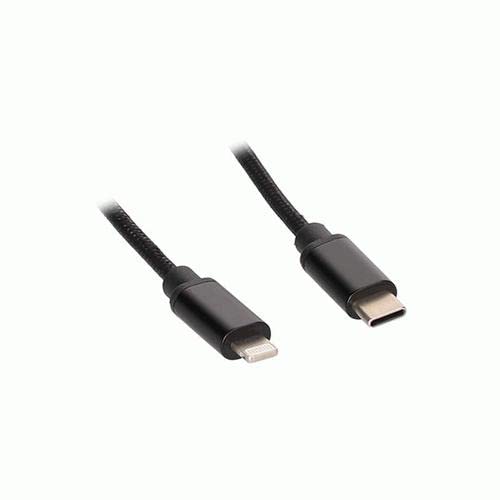 USB-C AXXESS Replacement Cable - 6 Ft, Male to Lightning (AXUSBC-LTG)