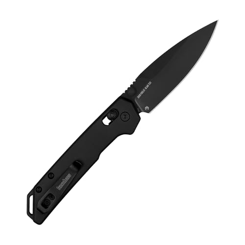 Kershaw Pocket Knife Mini Iridium, Black Design, 3 Inch Steel Spear Point Blade, EDC with Thumb Stud Opening, Reversible Carry, DuraLock, Everyday Carry Pocket Knife for Men and Women