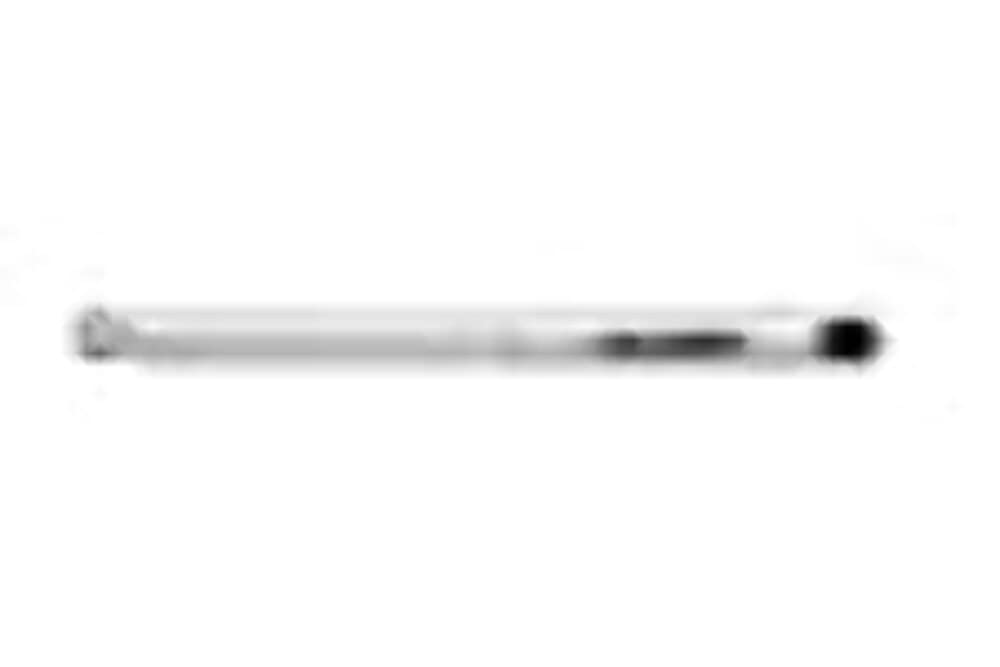 TP10013B Belltech Trail Performance Shock Absorber