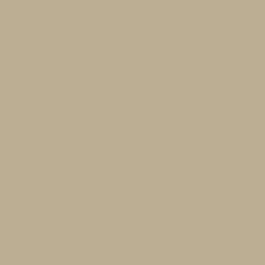 Toyota Desert Sand Mica Dupli-Color EBTY16107 Perfect Match Automotive Spray Paint – 8 oz. Aerosol Can, 4Q2
