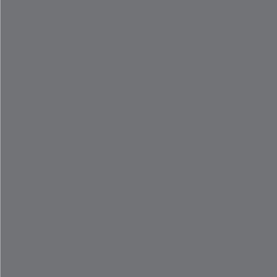 Perfect Match Dupli-Color Automotive Spray Paint - Nissan Precision Gray, W40-8 oz. Aerosol Can