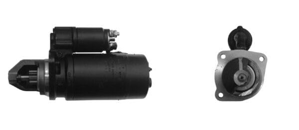 MS319 Mahle Starter