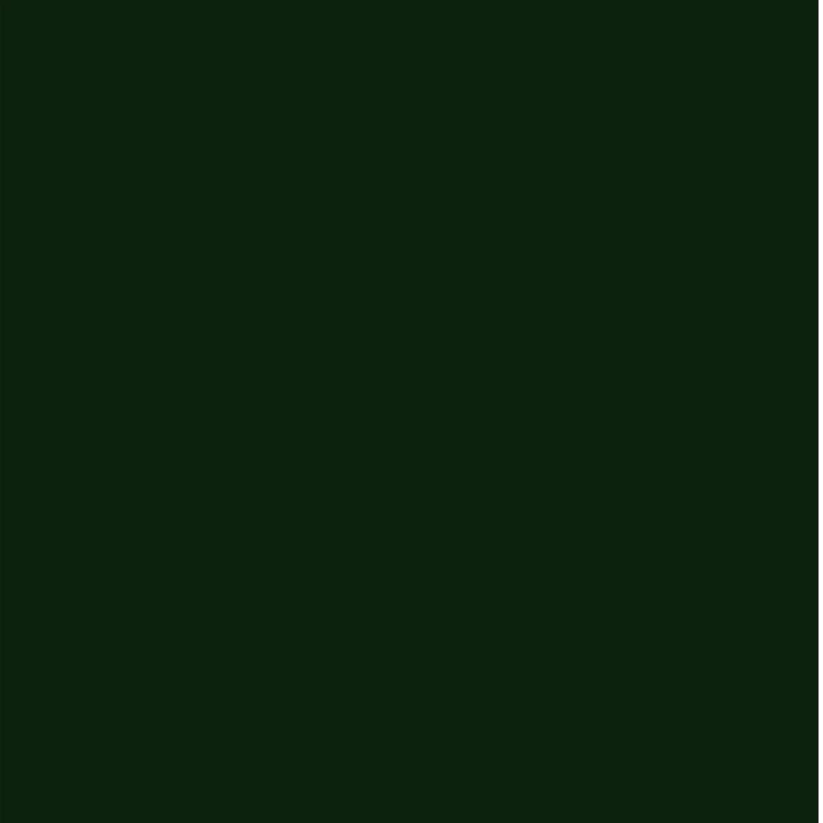 Honda Clover Green Pearl Dupli-Color EBHA09767 Perfect Match Automotive Spray Paint – G95P – 8 oz. Aerosol Can