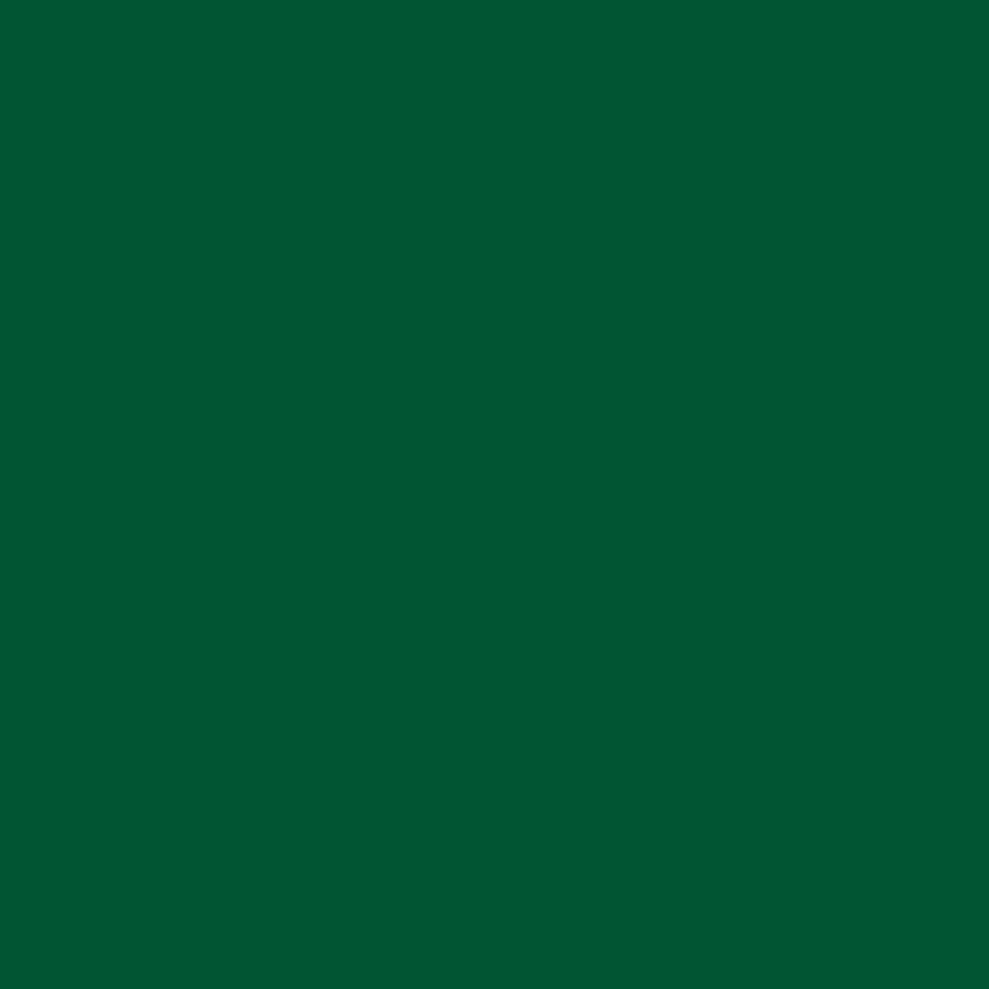 Perfect Match Dupli-Color Automotive Spray Paint – General Motors Emerald Green Metallic, 43 WA159A, 43 WA177B – 8 oz. Aerosol Can