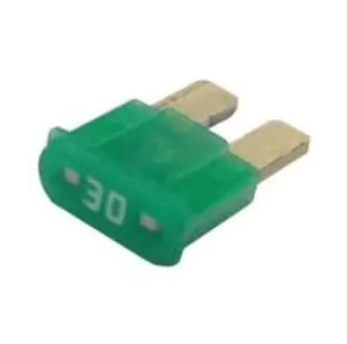 Atr30 Buss Fuses 2-Leg Micro Fuse