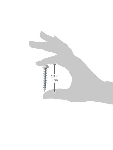 AP Products 012-PSQ500W 1" Square Polar White 8X1 Recessed Pan Head Screw, (Pack of 500)