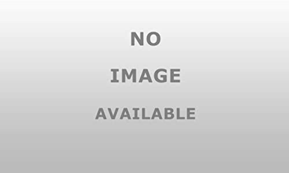 26736B Go Industries Brush Guard