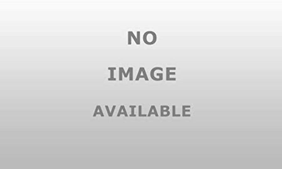 26736B Go Industries Brush Guard