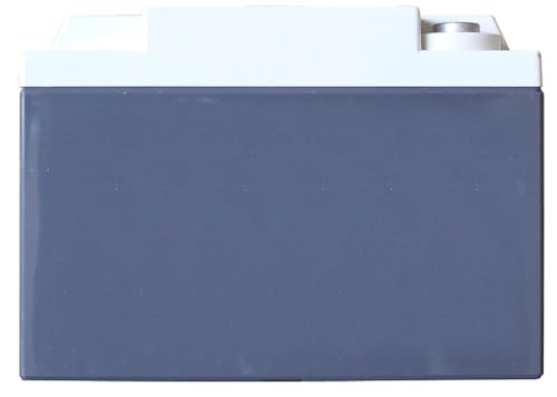 XS Power Li-S925-16 16V Lithium Vehicle Battery Li1615 15A IntelliCHARGER combo