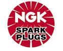 Racing NGK Spark Plug R8102B-10