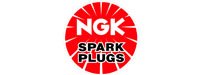 1207 NGK Spark Plug