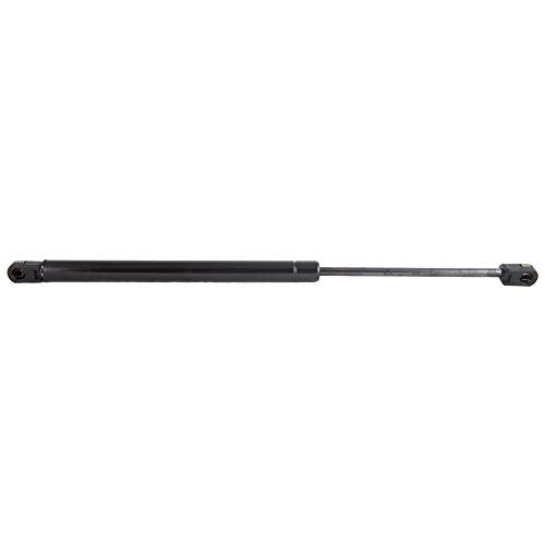 20" Gas Spring AP Products 010608#13