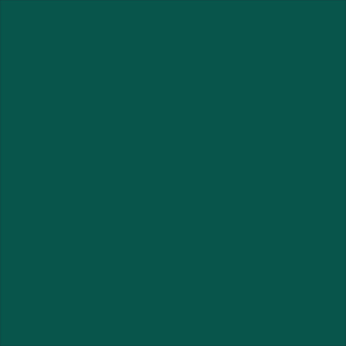 Perfect Match Dupli-Color EBTY15977 Automotive Spray Paint – Toyota Classic Green Pearl, 6P2 – 8 oz. Aerosol Can